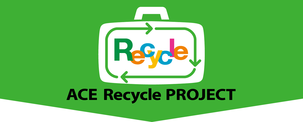 ACE Recycle Project