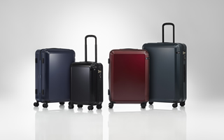 ACE | High-quality Luggage, Bags, Briefcases