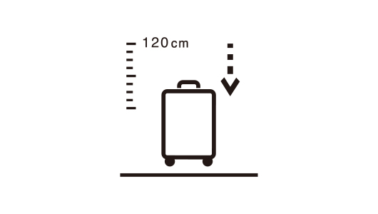 Drop impact test